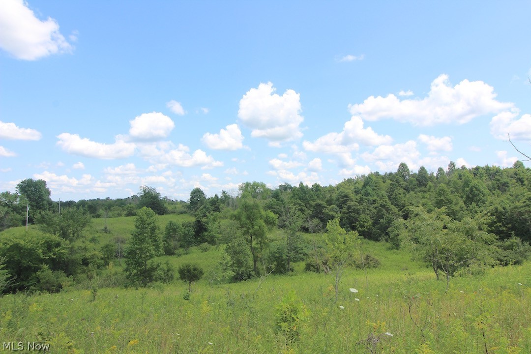 Union Hill Road Blue Rock, OH 43720 - Photo 1 of 35