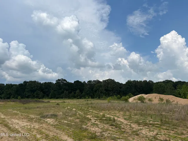 $293,860 | Neely Road, Bentonia, MS 39040