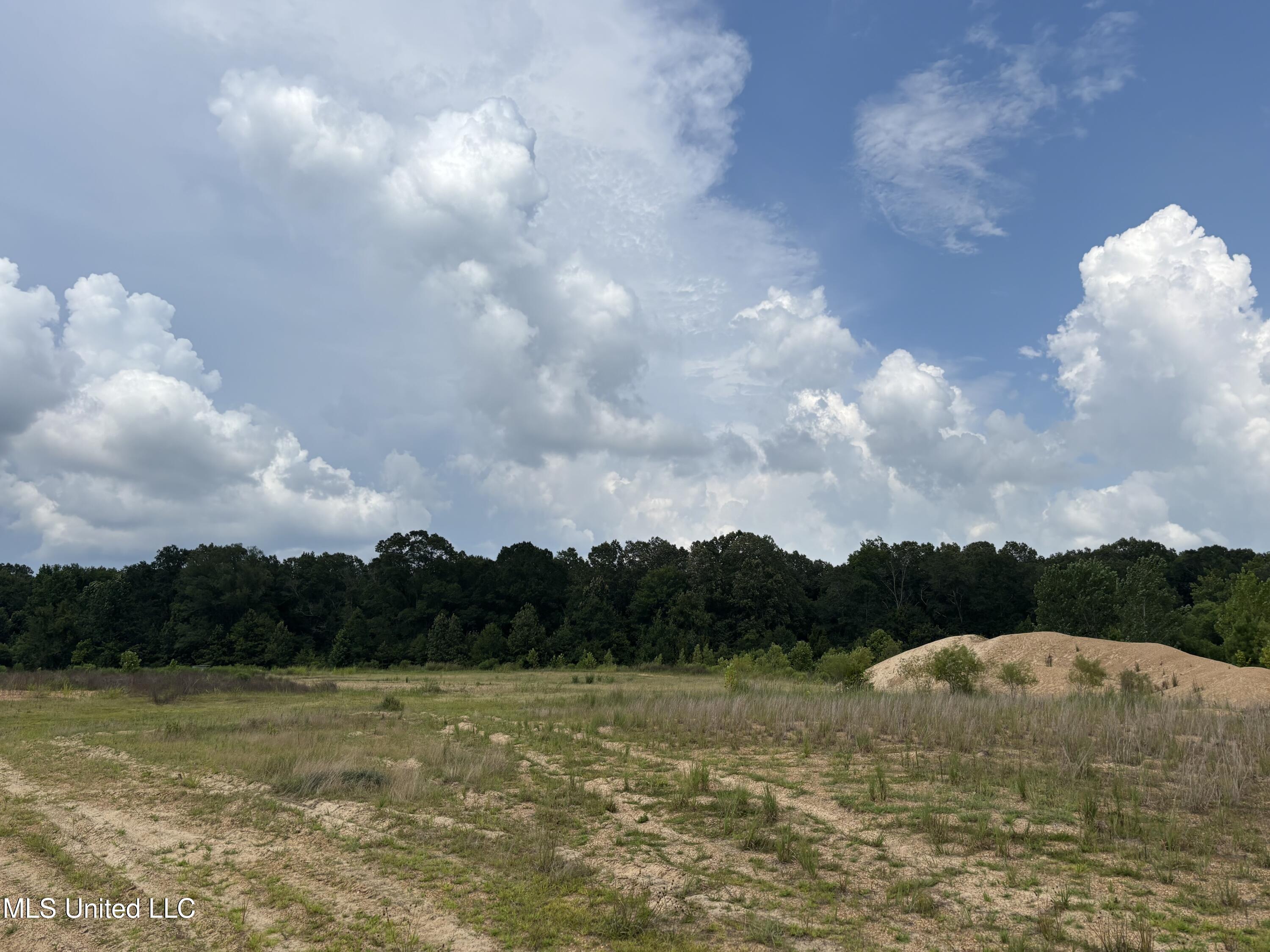 Neely Road Bentonia, MS 39040 - Photo 12 of 16 IMG_9020