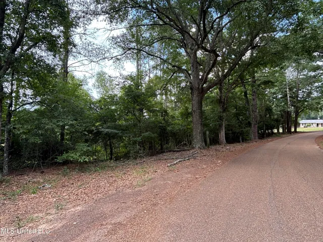 $293,860 | Neely Road, Bentonia, MS 39040
