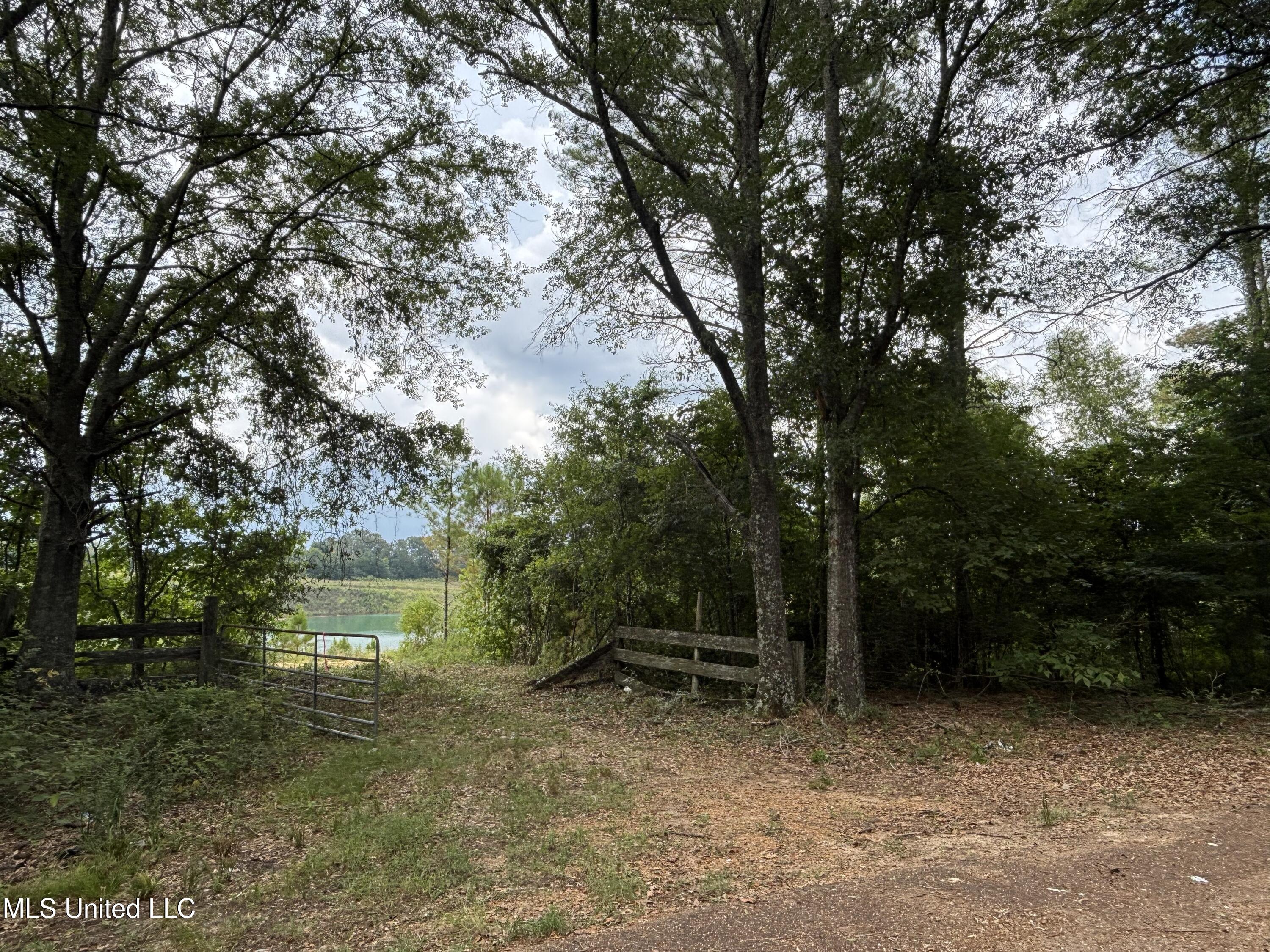 Neely Road Bentonia, MS 39040 - Photo 16 of 16 IMG_9023