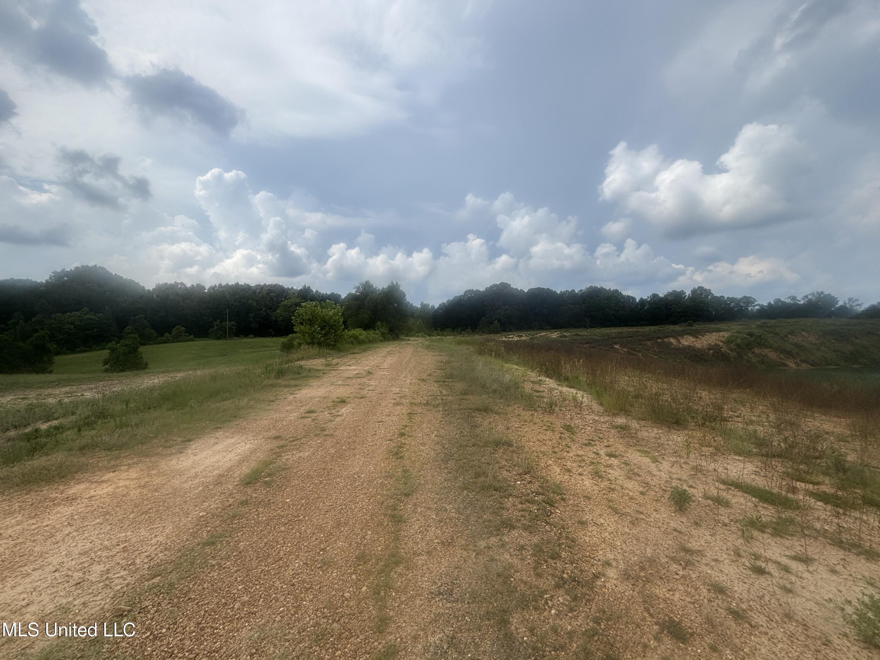 Neely Road Bentonia, MS 39040 - Photo 2 of 16 IMG_9006