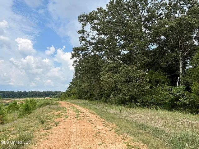 $293,860 | Neely Road, Bentonia, MS 39040