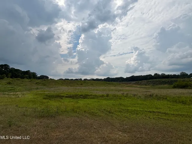 $293,860 | Neely Road, Bentonia, MS 39040