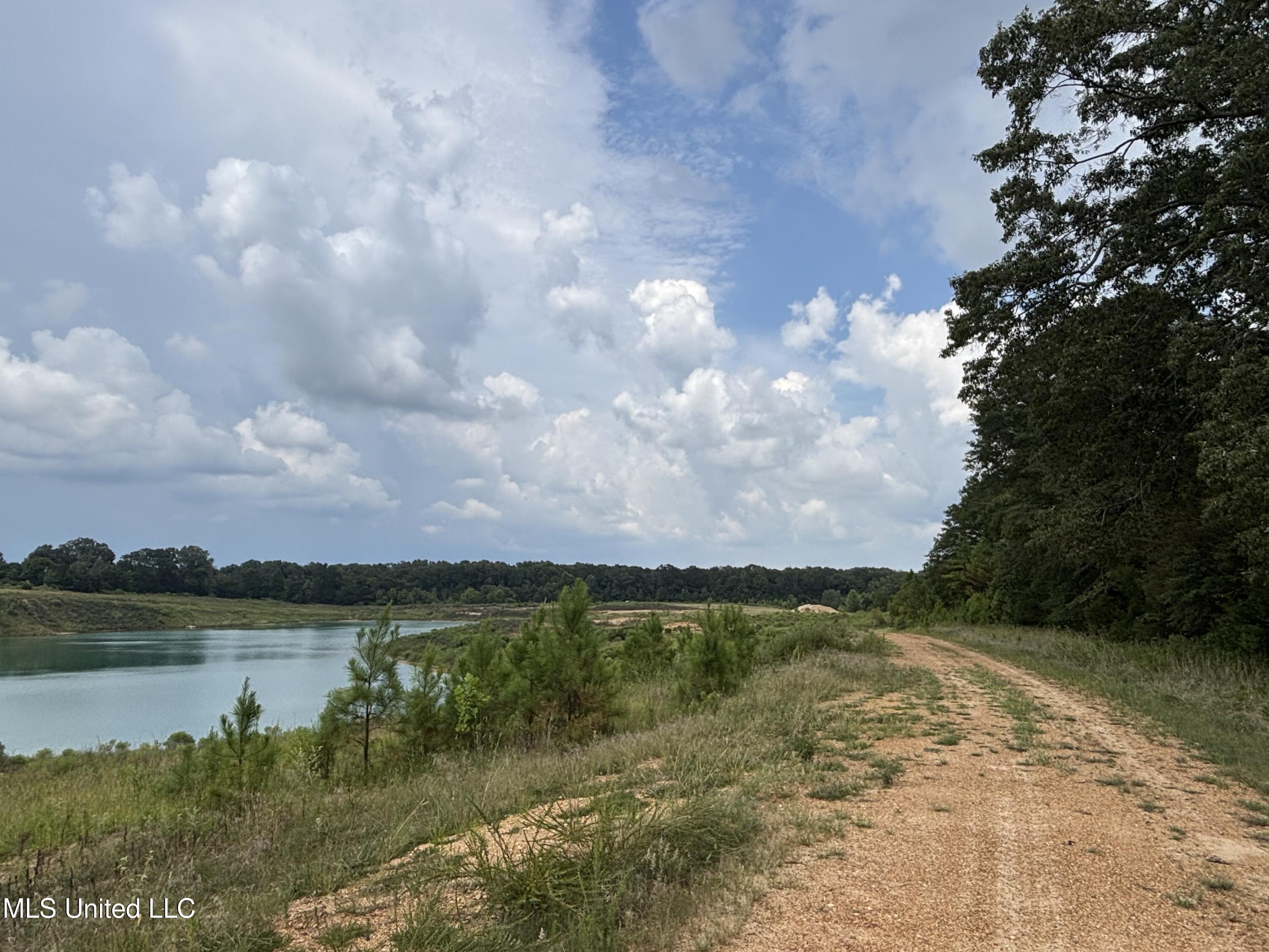 Neely Road Bentonia, MS 39040 - Photo 7 of 16 IMG_9012
