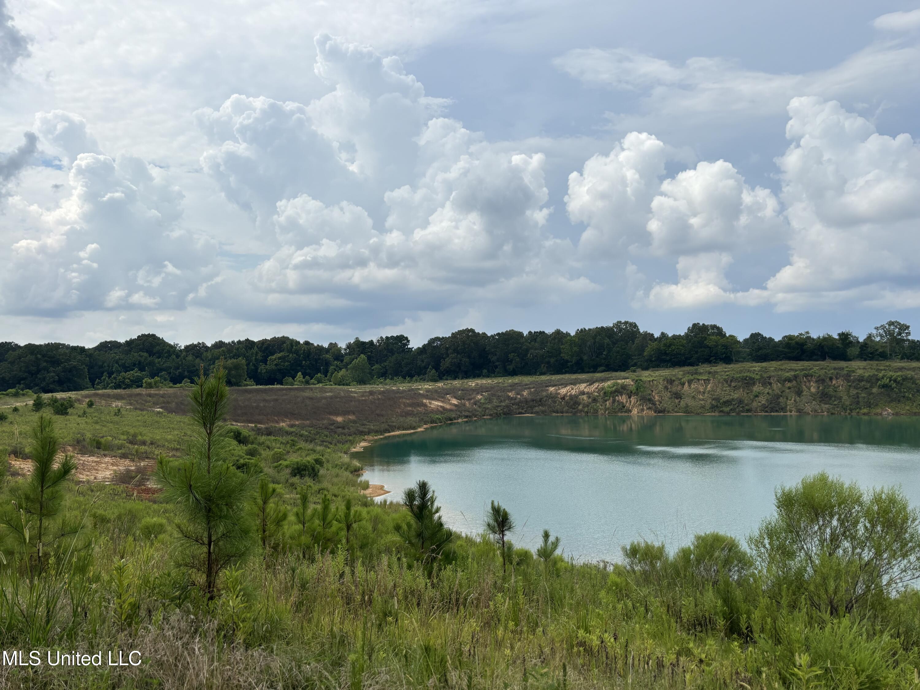 Neely Road Bentonia, MS 39040 - Photo 8 of 16 IMG_9013