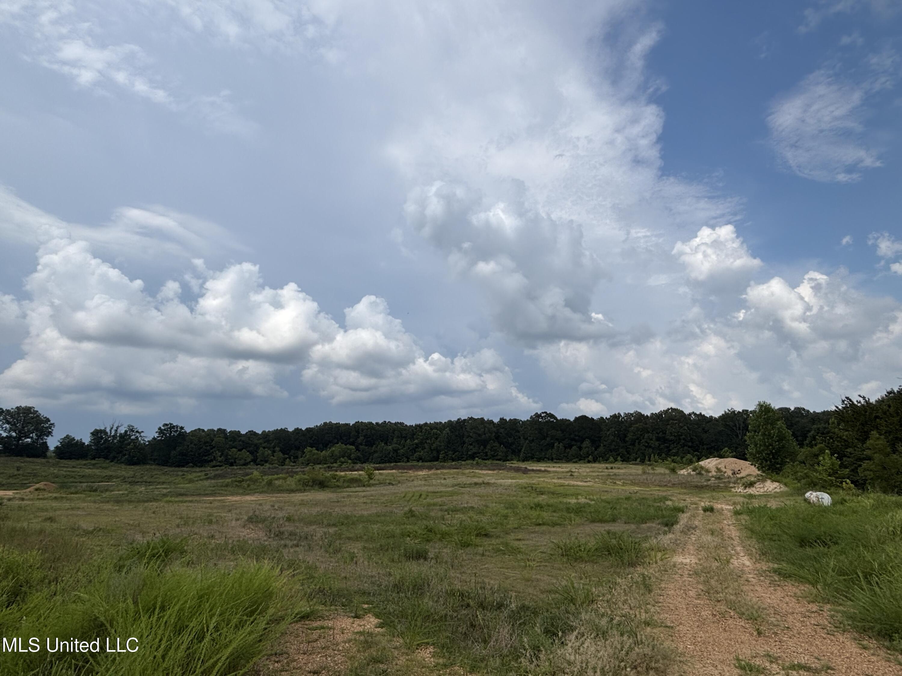 Neely Road Bentonia, MS 39040 - Photo 10 of 16 IMG_9015