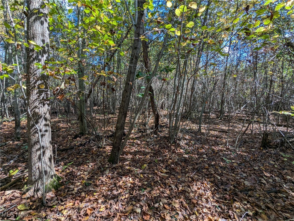 Shafer Road Northwest Warren, OH 44481 - Photo 13 of 21 Gallery Image 13