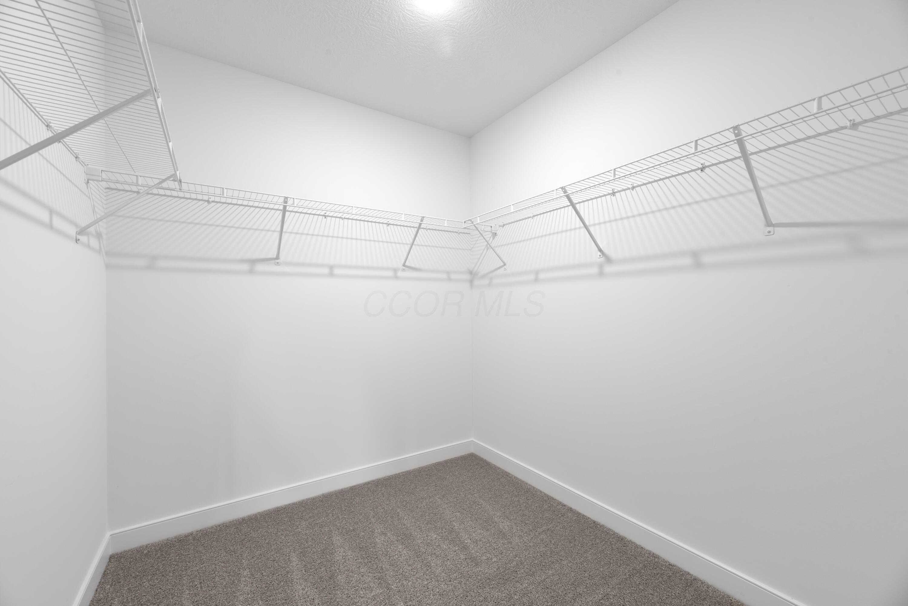 15831 King Road Howard, OH 43028 - Photo 25 of 39 PRIMARY CLOSET