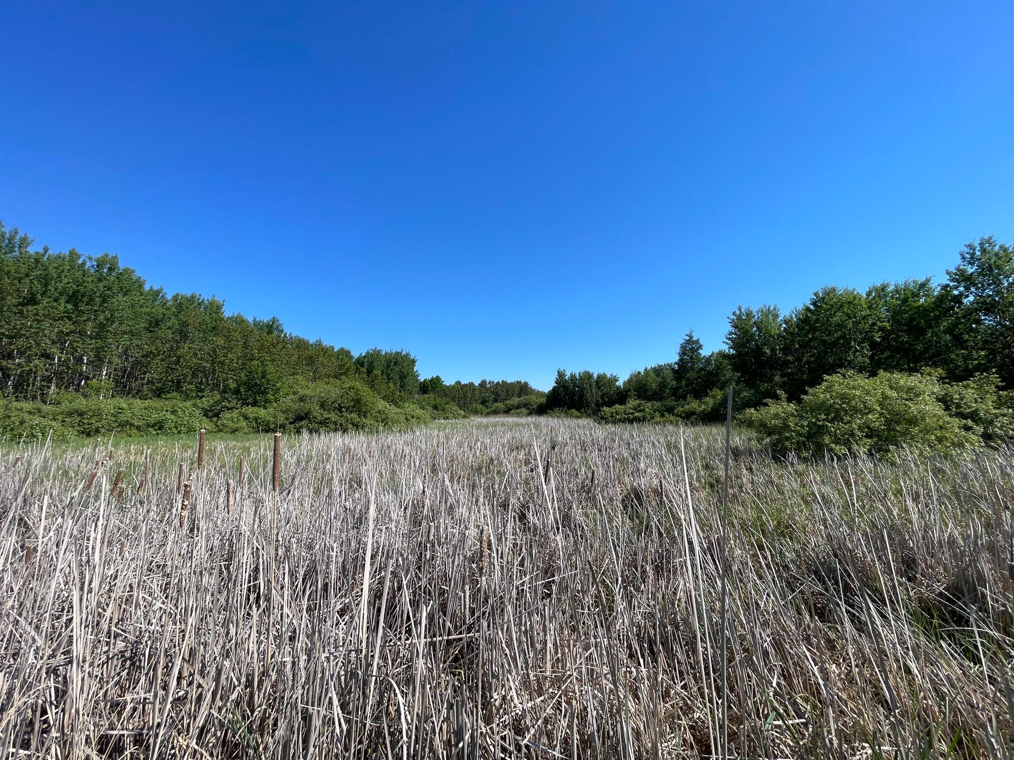 Tbd 440th Avenue Roseau, MN 56751 - Photo 41 of 80