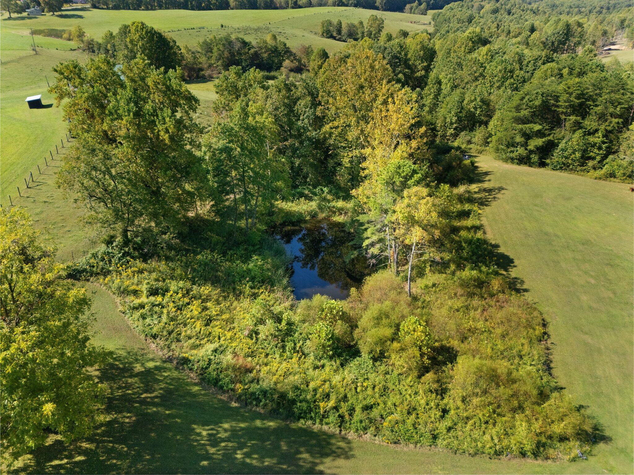 1835 Pine Top Road London, KY 40741 - Photo 52 of 56 60-web-or-mls-DJI_20240920111718_0078_D