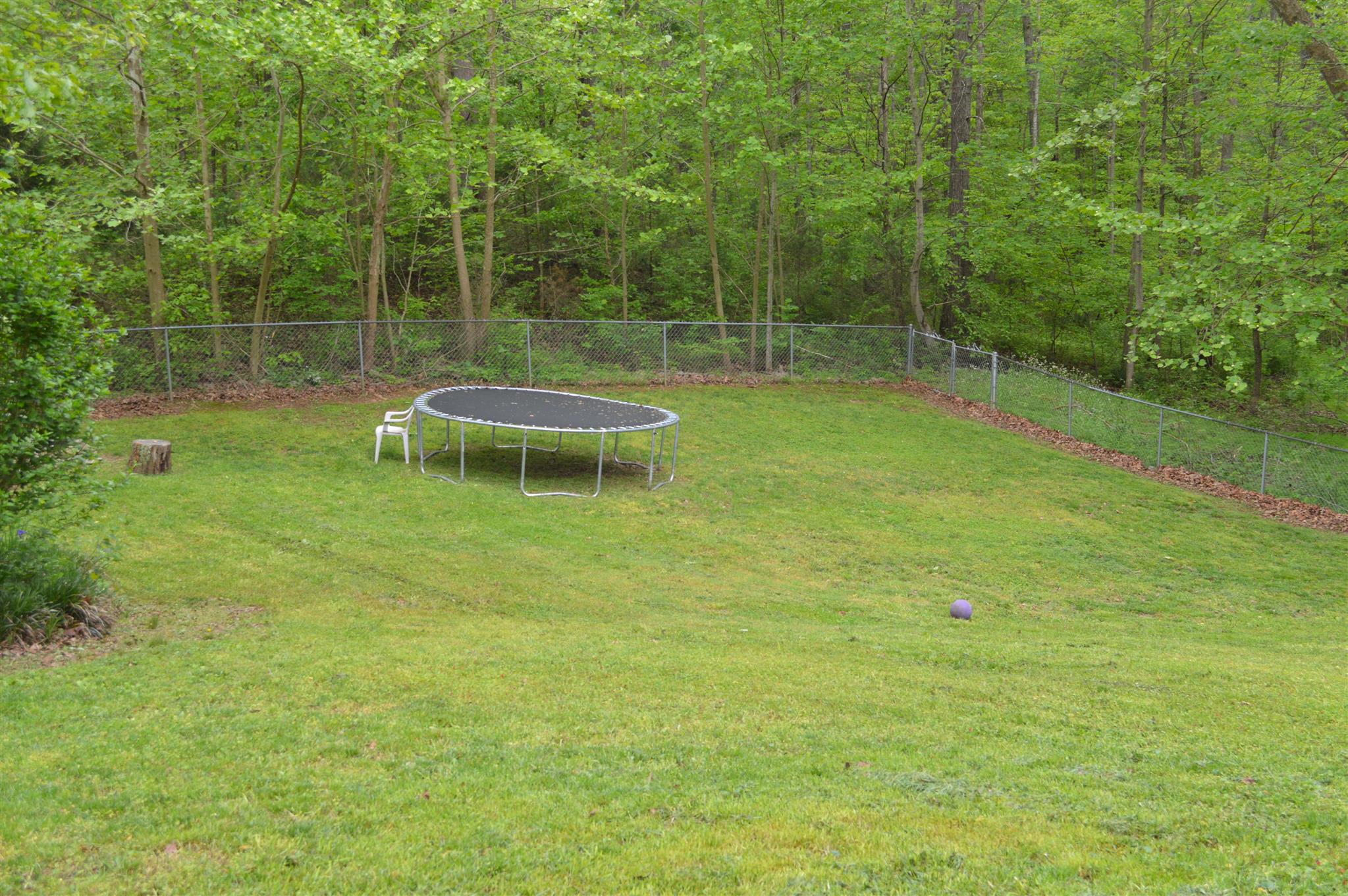 3361 Backridge Road Woodlawn, TN 37191 - Photo 30 of 30 a view of a backyard with a trampoline