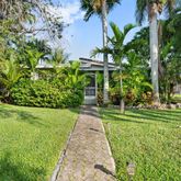 a view of a yard with plants