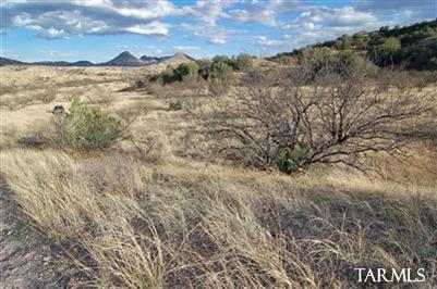 Ranch Road, Unit WEST Patagonia, AZ 85624 - Photo 3 of 15