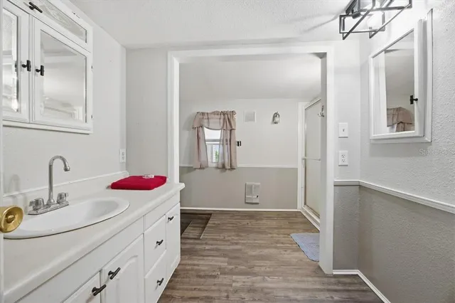 a bathroom with a sink and a mirror