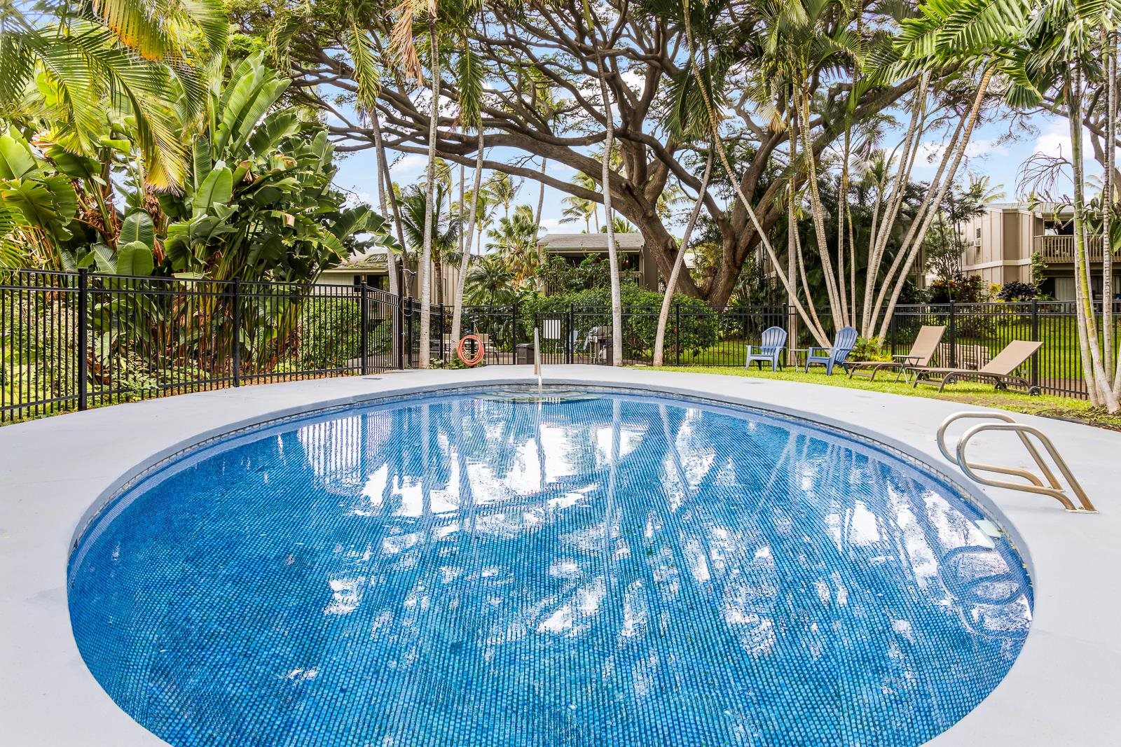 4435 Lower Honoapiilani Road, Unit 204 Lahaina, HI 96761 - Photo 20 of 20