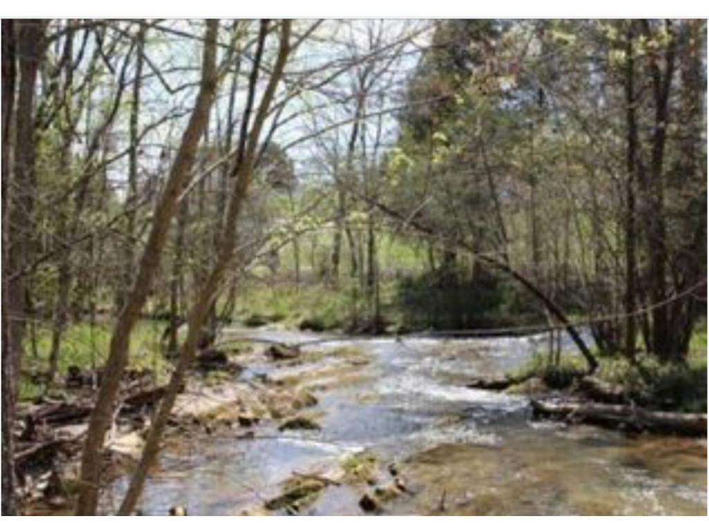 983 Fall Creek Road Kingsport, TN 37617 - Photo 1 of 36 Photo 1