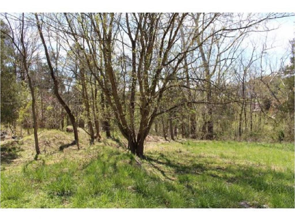 983 Fall Creek Road Kingsport, TN 37617 - Photo 12 of 36 Photo 11