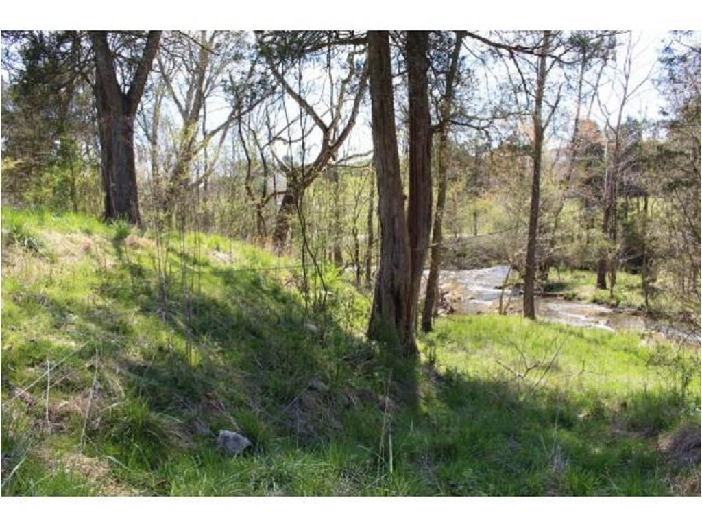 983 Fall Creek Road Kingsport, TN 37617 - Photo 16 of 36 Photo 15