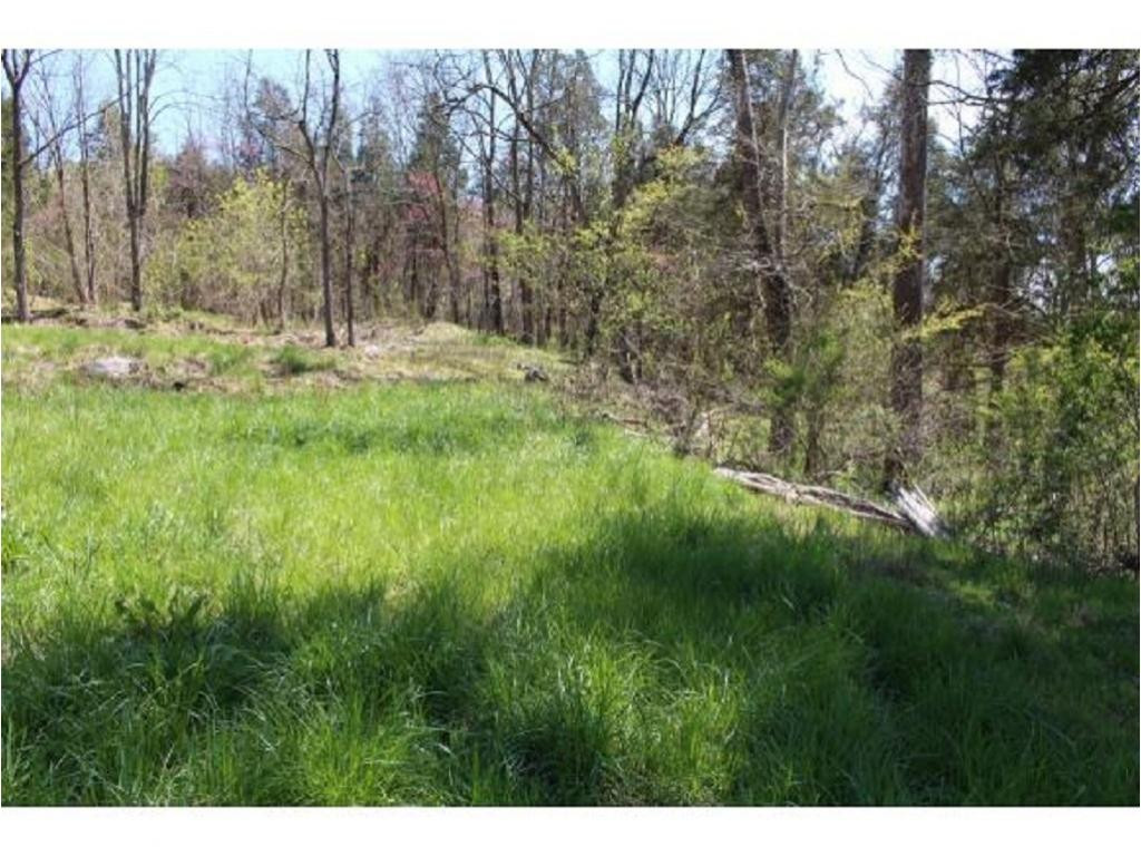 983 Fall Creek Road Kingsport, TN 37617 - Photo 19 of 36 Photo 18