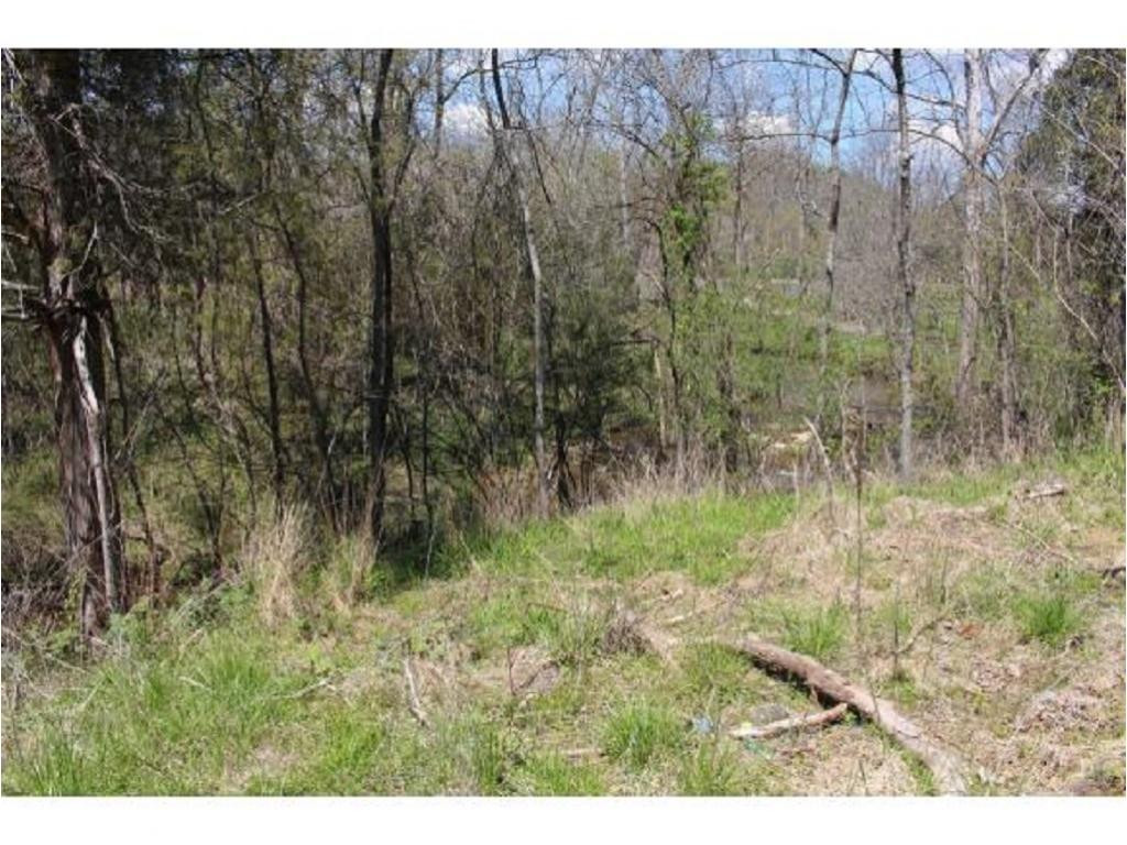 983 Fall Creek Road Kingsport, TN 37617 - Photo 29 of 36 Photo 28