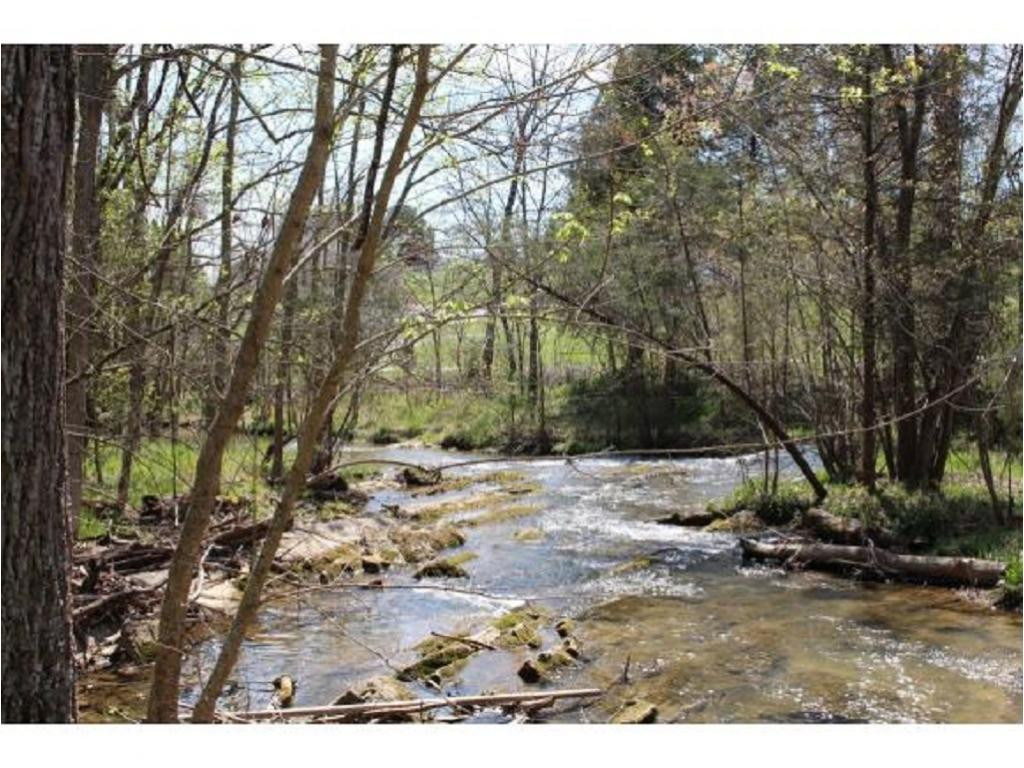 983 Fall Creek Road Kingsport, TN 37617 - Photo 3 of 36 Photo 2