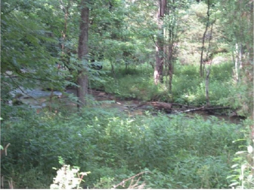 983 Fall Creek Road Kingsport, TN 37617 - Photo 31 of 36 Photo 30