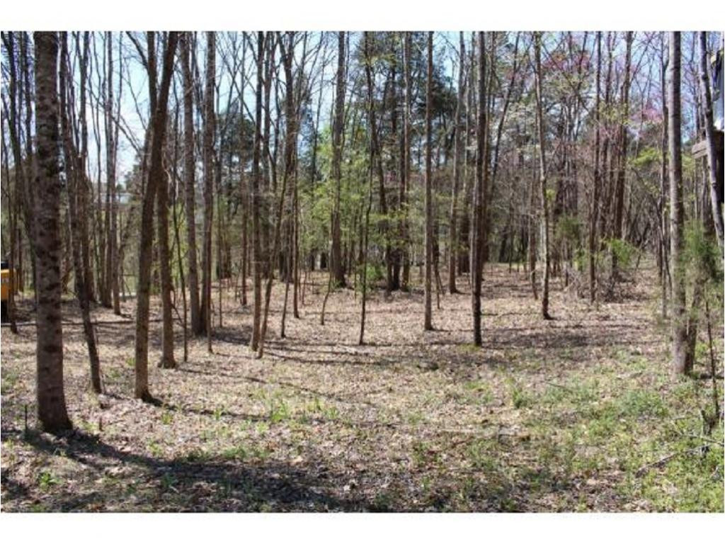 983 Fall Creek Road Kingsport, TN 37617 - Photo 32 of 36 Photo 31