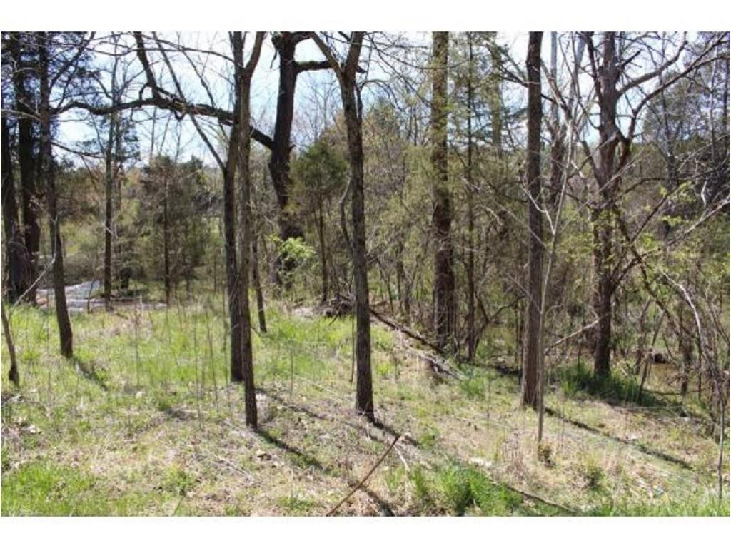 983 Fall Creek Road Kingsport, TN 37617 - Photo 33 of 36 Photo 32