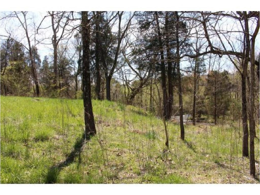 983 Fall Creek Road Kingsport, TN 37617 - Photo 34 of 36 Photo 33