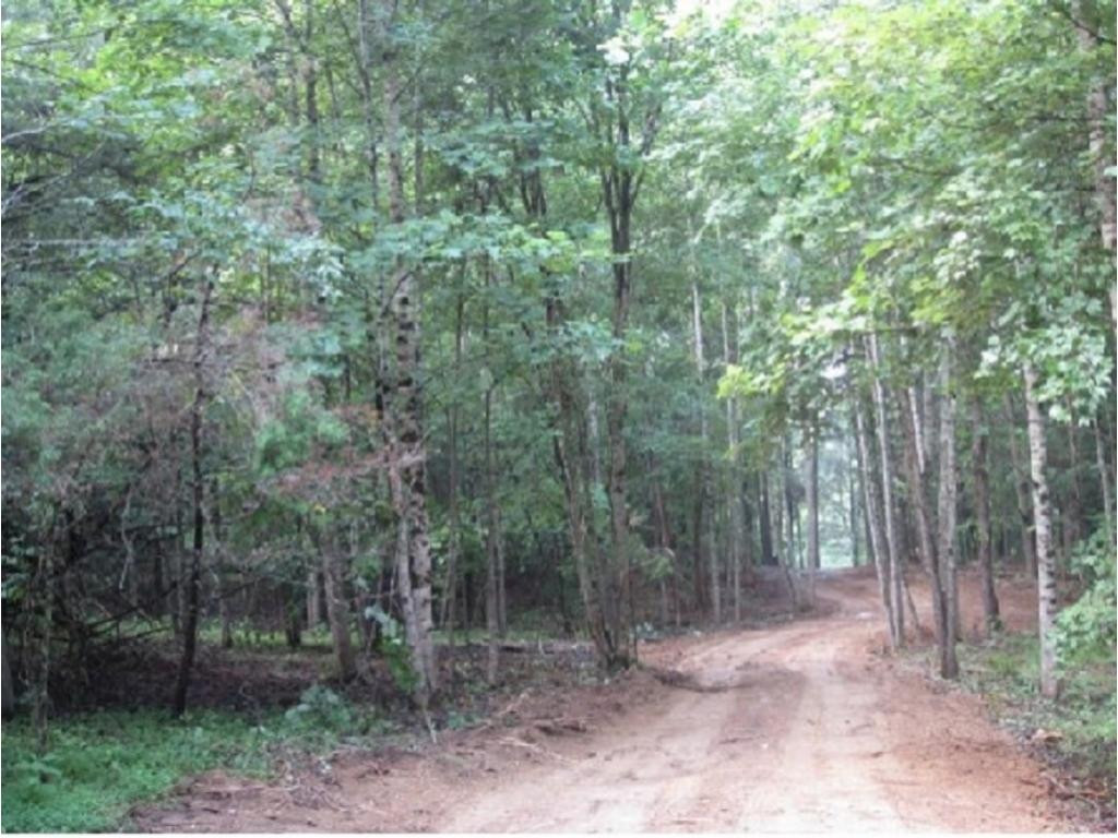 983 Fall Creek Road Kingsport, TN 37617 - Photo 35 of 36 Photo 34
