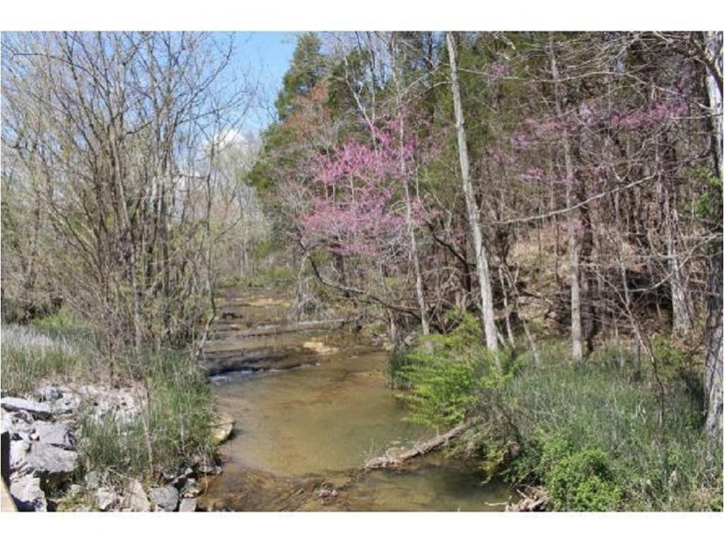 983 Fall Creek Road Kingsport, TN 37617 - Photo 4 of 36 Photo 3
