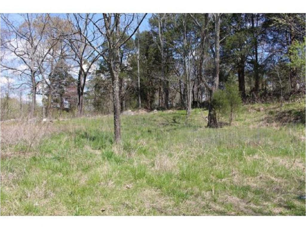 983 Fall Creek Road Kingsport, TN 37617 - Photo 8 of 36 Photo 7
