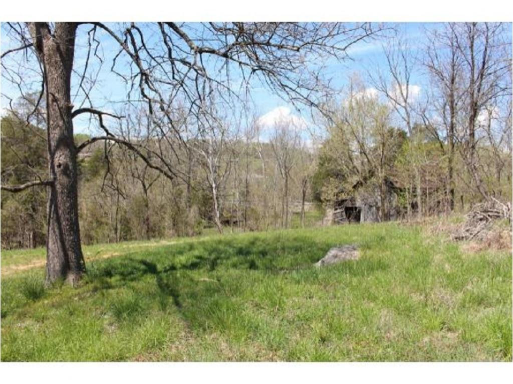 983 Fall Creek Road Kingsport, TN 37617 - Photo 9 of 36 Photo 8
