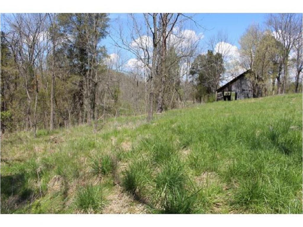 983 Fall Creek Road Kingsport, TN 37617 - Photo 10 of 36 Photo 9