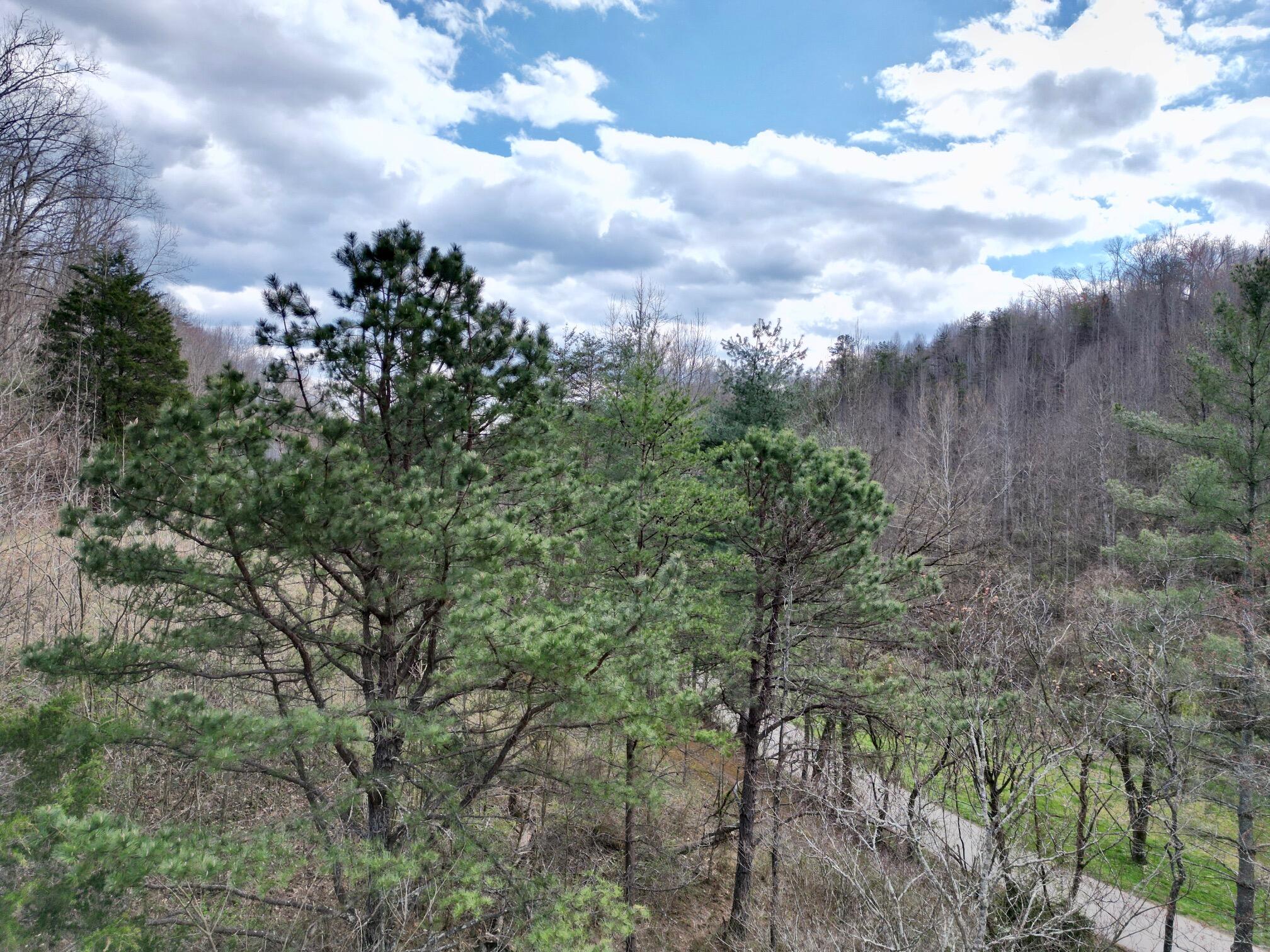 207 Gilliam Road Jackson, KY 41339 - Photo 20 of 28 dji_fly_20250326_154104_722_174301913597