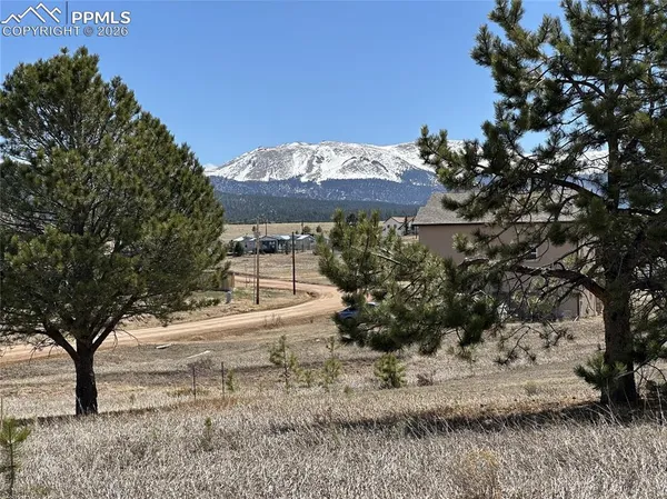 $60,000 | 333 Golden Grain Lane, Divide, CO 80814