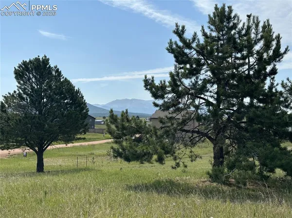 $60,000 | 333 Golden Grain Lane, Divide, CO 80814