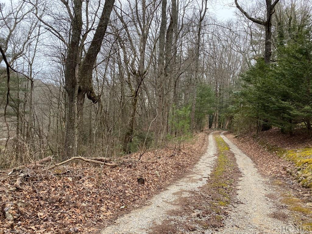 Tdb Pines Road Scaly Mountain, NC 28775 - Photo 2 of 13 Gallery Image 2