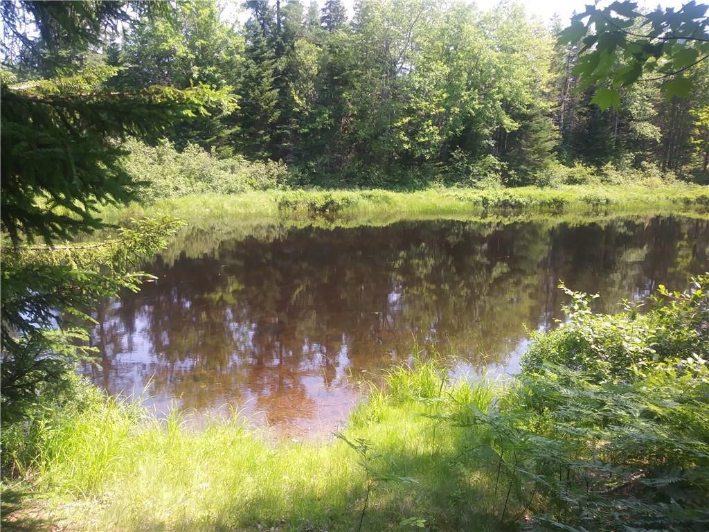 55 Mt Tom Road Pembroke, ME 04666 - Photo 16 of 18 Photo