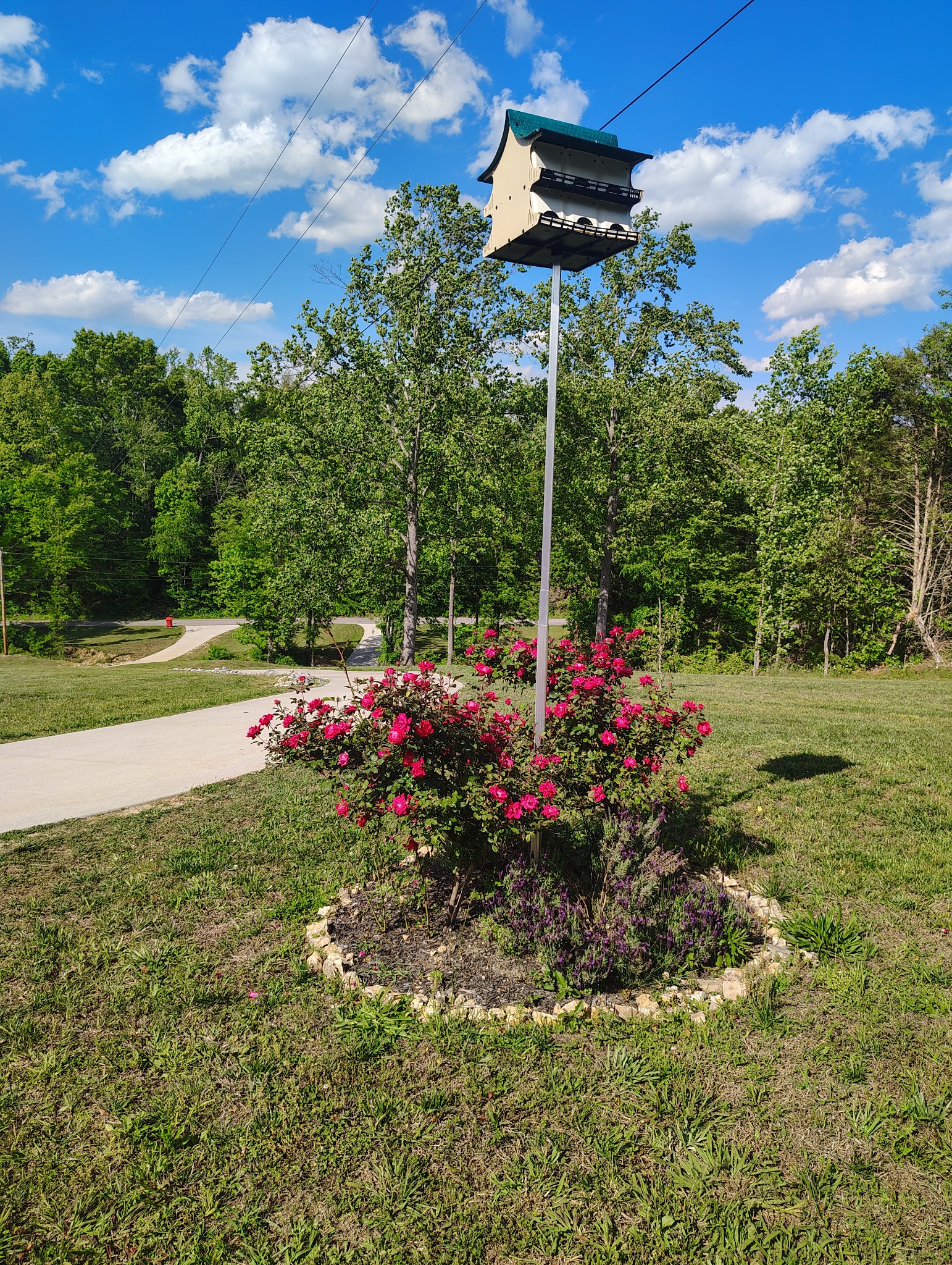 8447 Epperson Springs Road Westmoreland, TN 37186 - Photo 25 of 25 a view of a garden with flowers and plants