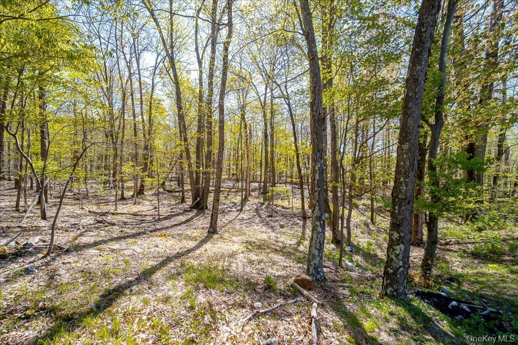 80 Jones Road Pine Bush, NY 12566 - Photo 8 of 44