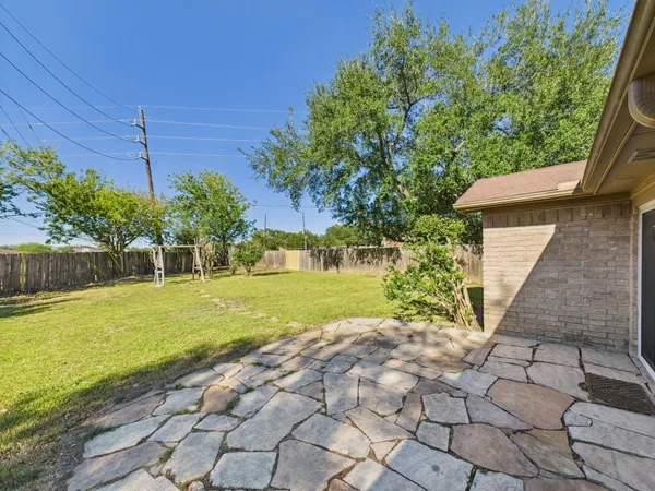 a view of a yard with plants