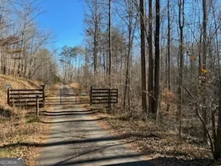 a view of garden with wooden stairs