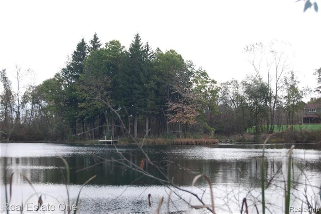 V/l Perry Lake Road Ortonville, MI 48462 - Photo 17 of 30 Gallery Image 17