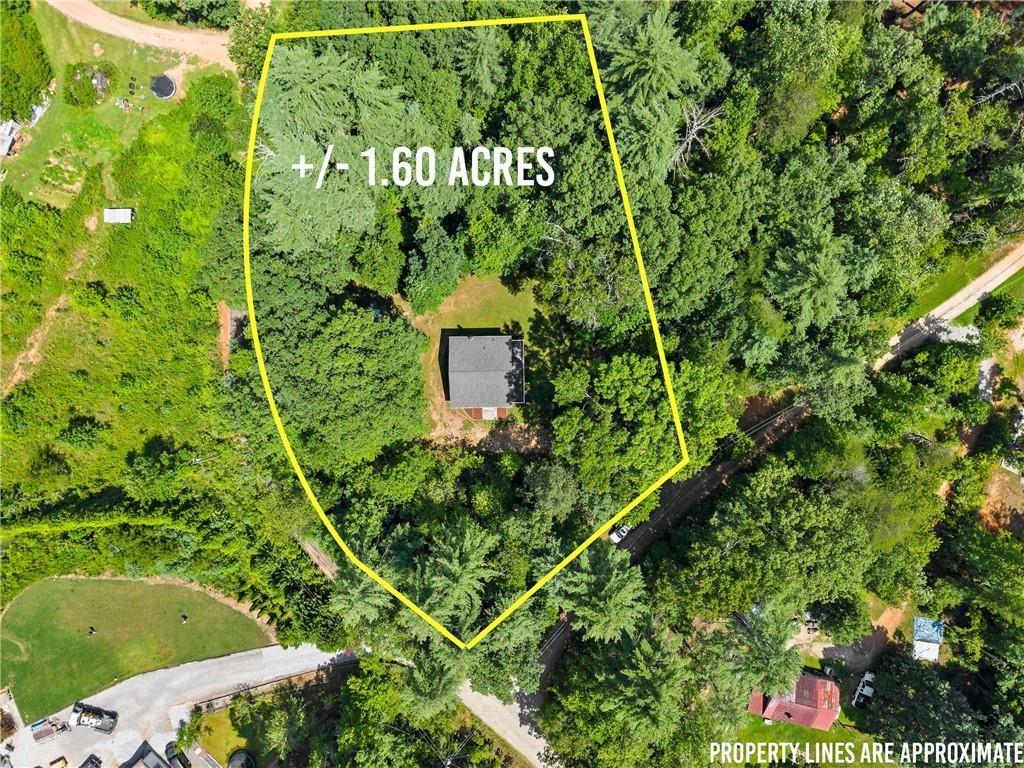 31 Pine Road Dahlonega, GA 30533 - Photo 2 of 32 a close up of a plant in a garden