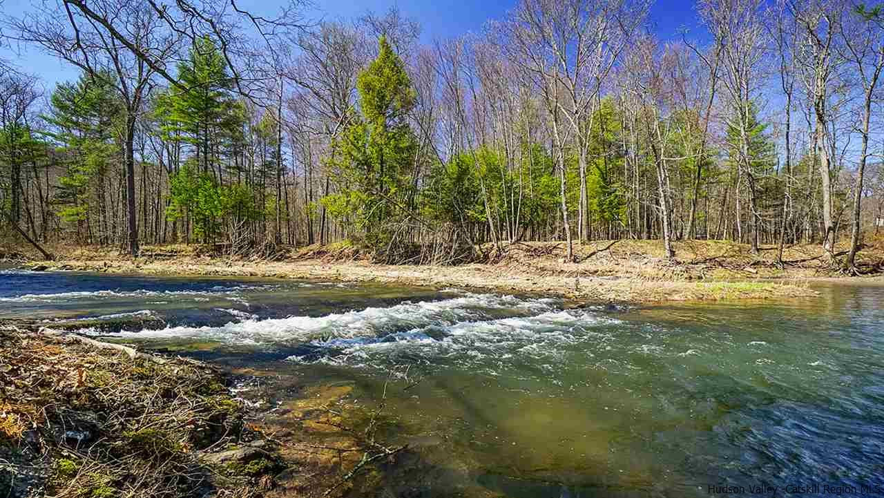 124 Wilhelm Road Saugerties, NY 12477 - Photo 14 of 33 a view of water with trees