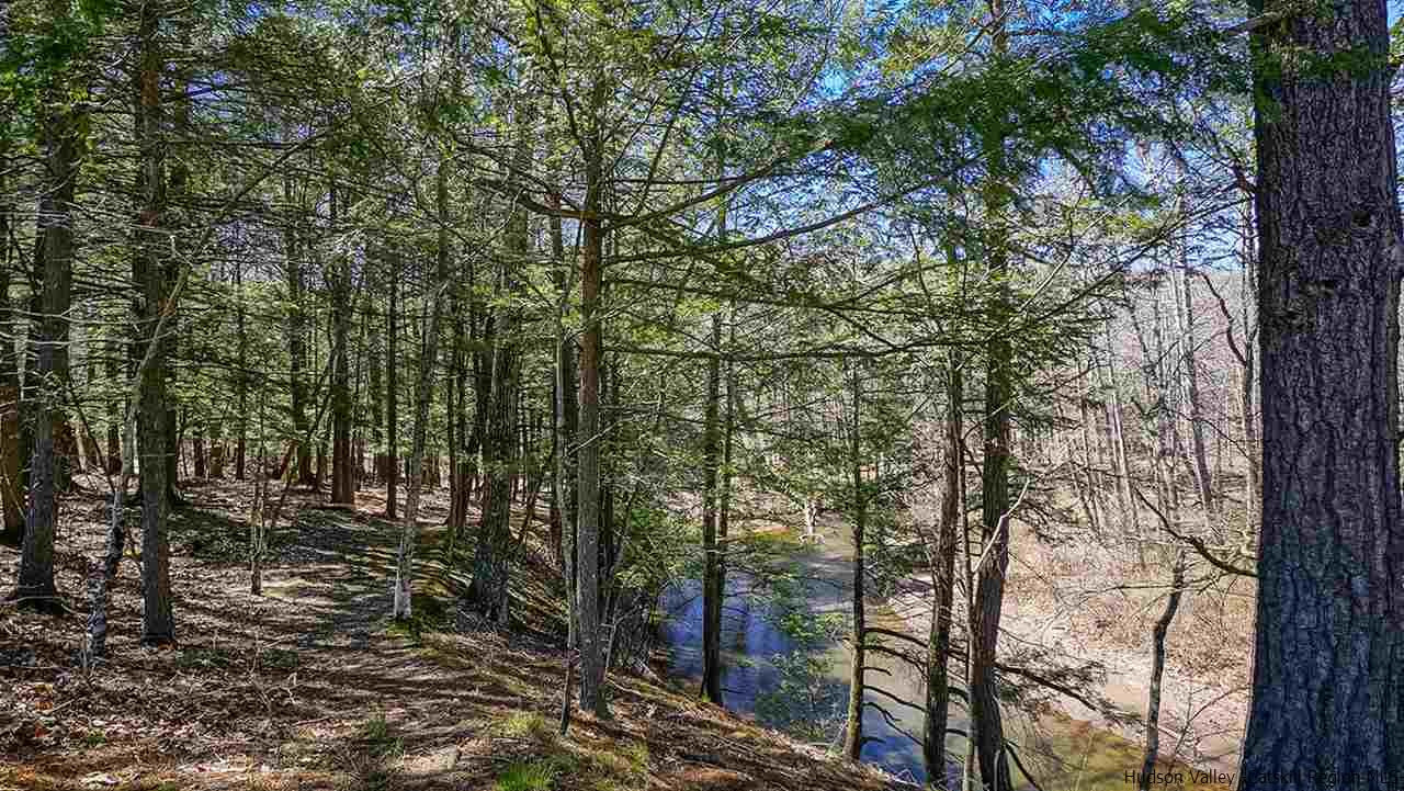 124 Wilhelm Road Saugerties, NY 12477 - Photo 16 of 33 a view of forest