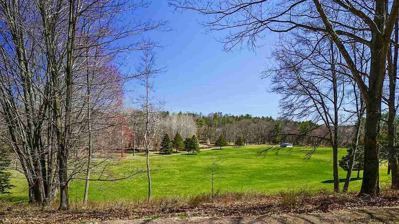 124 Wilhelm Road Saugerties, NY 12477 - Photo 26 of 33 a view of a grassy field with trees