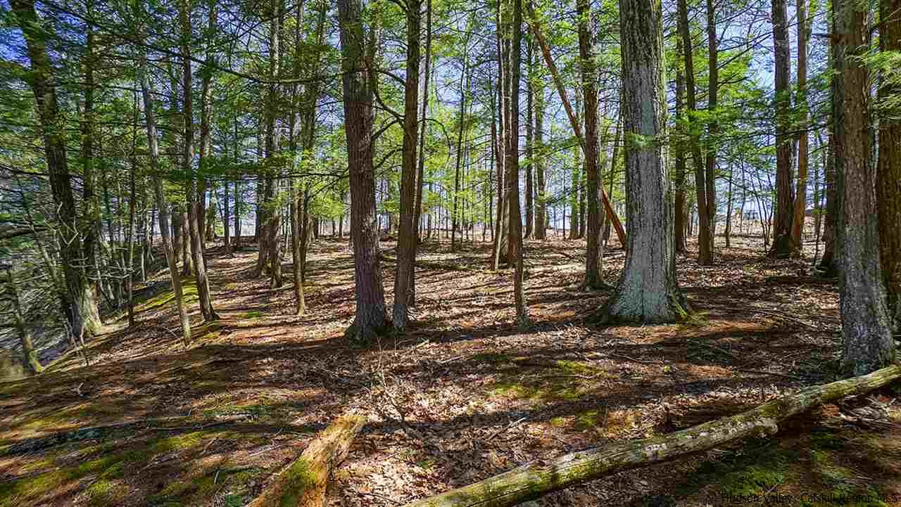 124 Wilhelm Road Saugerties, NY 12477 - Photo 27 of 33 a view of outdoor space with deck and trees